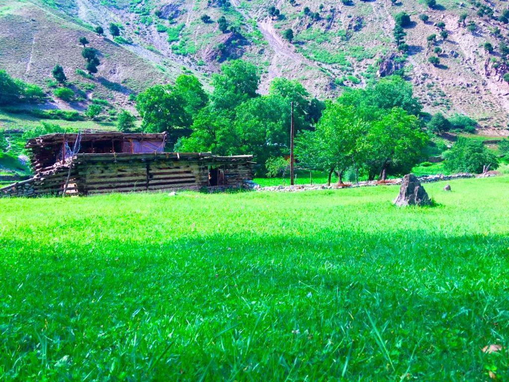 Chitral Inn Resort Exterior photo